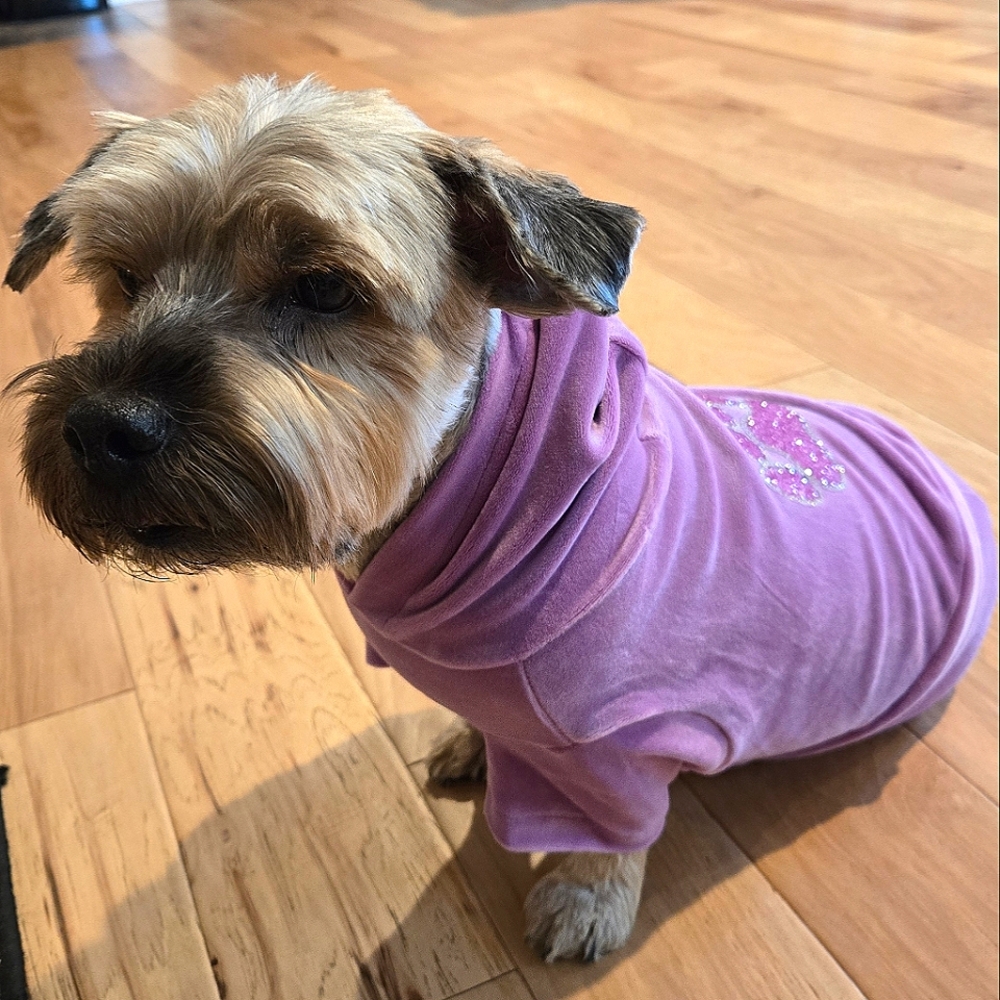 Velour Dog Onesie Pajamas With Crystal Paw Print S